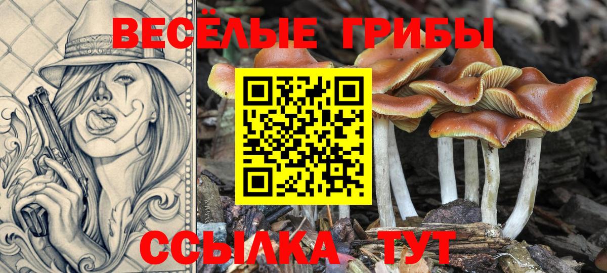 Чита  Псилоцибиновые грибы MAGIC MUSHROOMS  Вход с VPN  где купить наркоту  Галлюциногенные грибы Magic Shrooms 